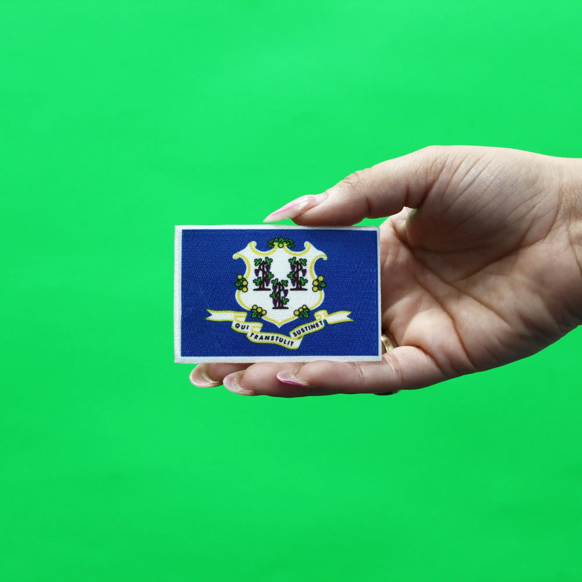 Connecticut Patch State Flag Embroidered Iron On - Image 2