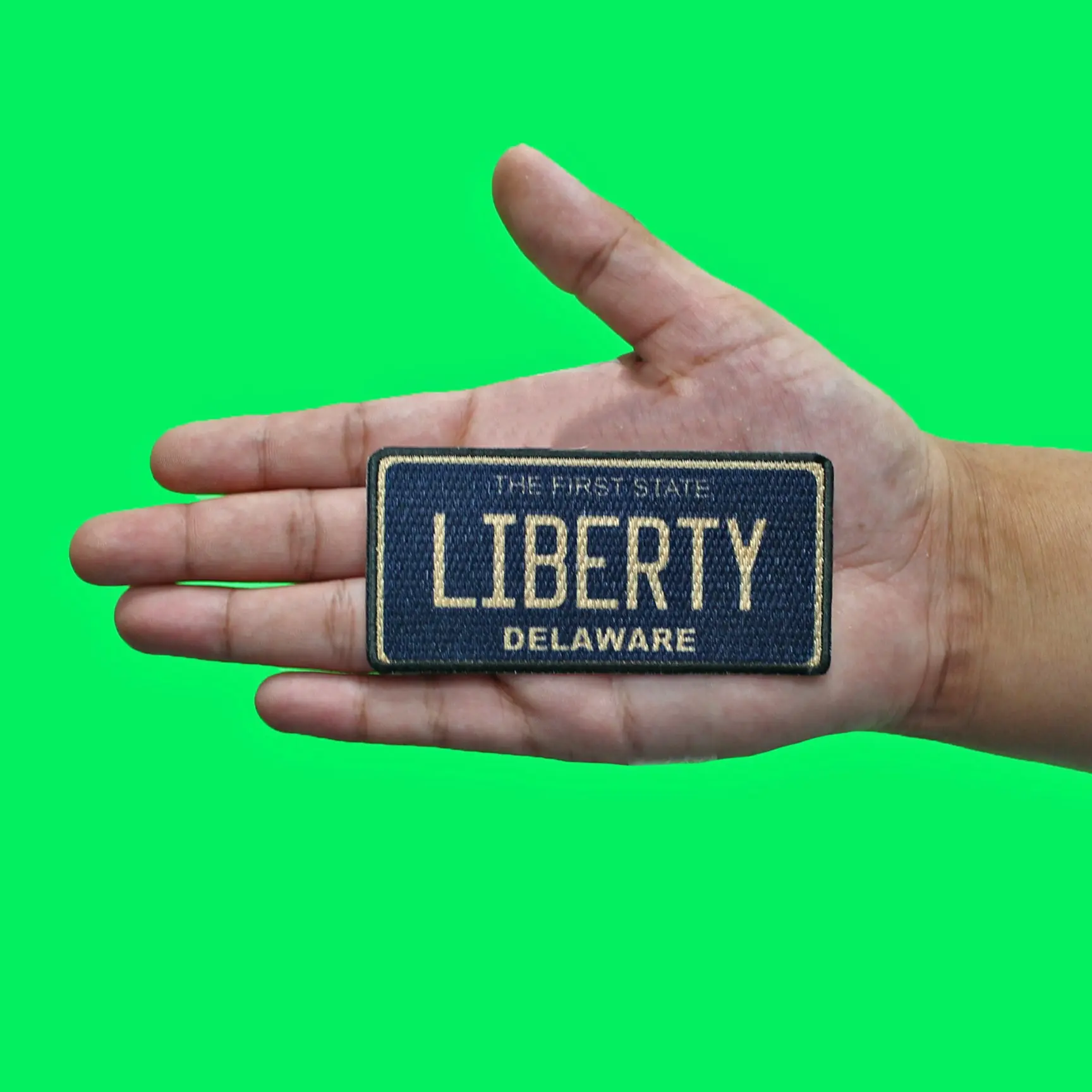 Delaware State License Plate Patch First State Liberty Sublimated Iron On - Image 2