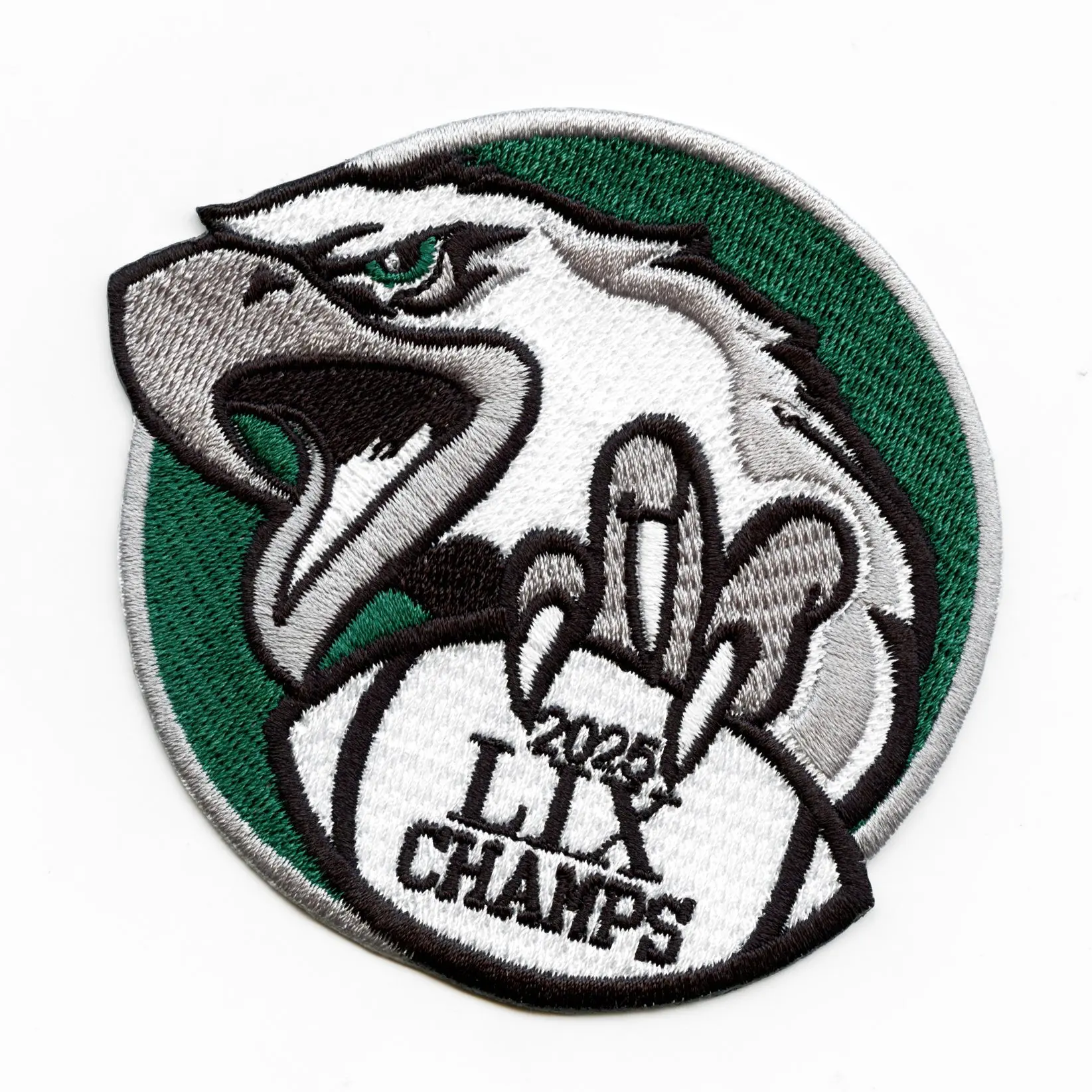 Philadelphia Champions 2025 Patch Football Eagles Embroidered Iron On